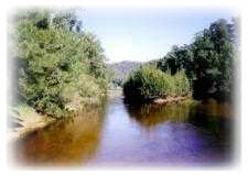 Tuross River